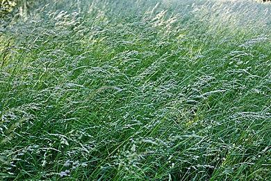 佐伊性感万圣装扮！ 《幻兽帕鲁》0.6.8版本更新上线